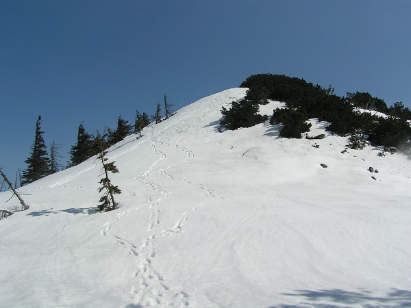 KRKONOŠE - KOZÍ HŘBETY